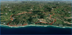 MacNicol 15k Route overview